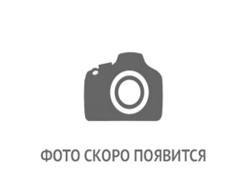 Детям с ограниченными возможностями здоровья.